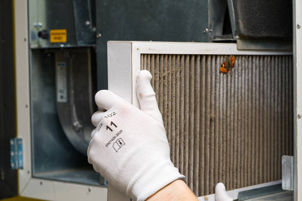 Best Dryer Vent Cleaning Services  in Bartonvle, IL